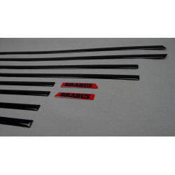 Side body exterior mouldings