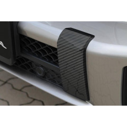 Front bumper fangs