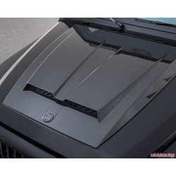 Hood scoop cover trim