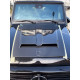 Hood scoop cover trim