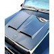 Hood scoop cover trim