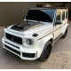 Hood scoop cover + Brabus badge