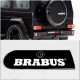 Spare Tire Wheel Cover Badge