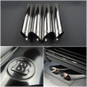 Exhaust pipes tips