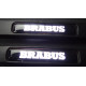 Widestar Fenders Side inserts with Leds