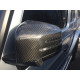 Side View Doors Mirror Covers