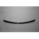 Front Diffuser AMG Carbon