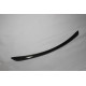 Front Diffuser AMG Carbon