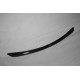 Front Diffuser AMG Carbon
