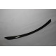 Front Diffuser AMG Carbon