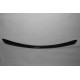 Front Diffuser AMG Carbon