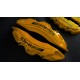 Сaliper covers AMG ceramic golden