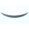 Rear spoiler Carbon