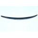 Rear spoiler Carbon