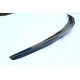 Rear spoiler Carbon