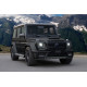 Mansory GRONOS Стеклопластик