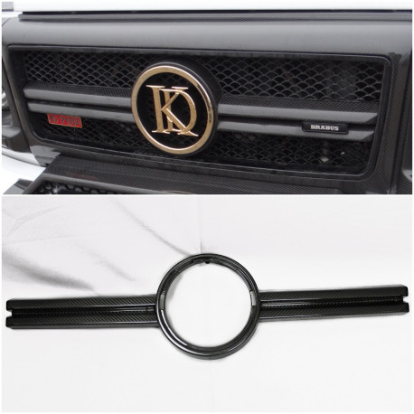 Front Grille Center Trim Radiator Guard