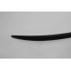 Spoiler Fiberglass W205