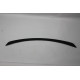 Spoiler Fiberglass W213
