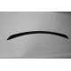Spoiler Fiberglass W213