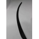 Spoiler Fiberglass W213