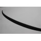 Spoiler Fiberglass F30