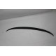 Spoiler Fiberglass F30