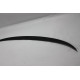 Spoiler Fiberglass F30