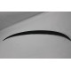 Spoiler Fiberglass F30