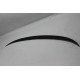 Spoiler Fiberglass F30