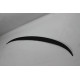 Spoiler Fiberglass F30