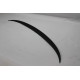 Spoiler Fiberglass F30