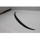 Spoiler Fiberglass F30