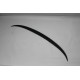 Spoiler Fiberglass F30