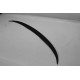Spoiler Fiberglass F30
