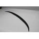 Spoiler Fiberglass F30