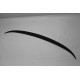 Spoiler Fiberglass F30