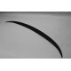 Spoiler Fiberglass F30