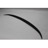 Spoiler Fiberglass F30