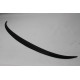 Spoiler Fiberglass F30