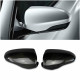 Side mirrors covers