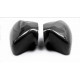 Side mirrors covers