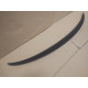 F10 M5 spoiler