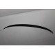 F30 spoiler Fiberglass