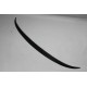F30 spoiler Fiberglass