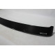 F10 HAMANN Carbon rear spoiler