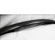 Carrera GT rear trunk lid spoiler