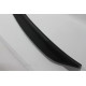 Lower spoiler Fiberglass
