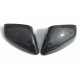 Rear view side mirror covers