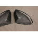 Side View Mirror Covers